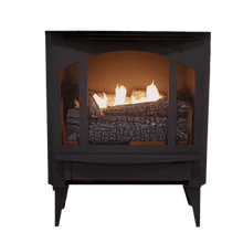 Buck Stove Model T-33 32,000 BTU Vent Free Gas Stove with Legs and Blower New